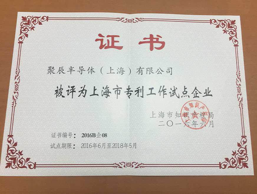  Selected as a pilot enterprise of patent work in Shanghai in 2016